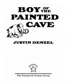 The Boy of the Painted Cave