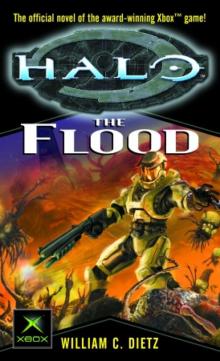 The Flood h-2