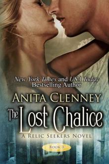 The Lost Chalice (The Relic Seekers Book 3)