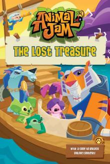 The Lost Treasure