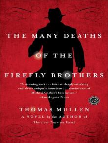 The Many Deaths of the Firefly Brothers: A Novel