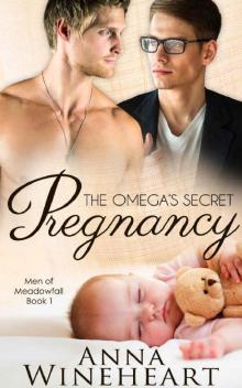 The Omega's Secret Pregnancy