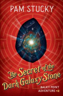 The Secret of the Dark Galaxy Stone