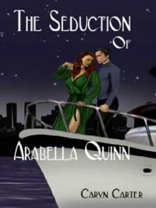 The Seduction of Arabella Quinn