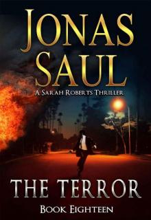 The Terror (A Sarah Roberts Thriller Book 18)