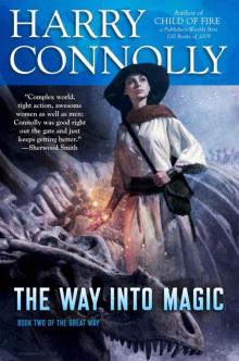 The Way Into Magic: Book Two of The Great Way