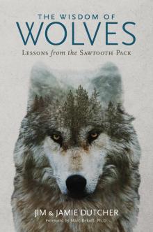 The Wisdom of Wolves