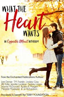 What the Heart Wants: An Opposites Attract Anthology