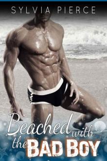 Beached with the Bad Boy (Bad Boys on Holiday #3)