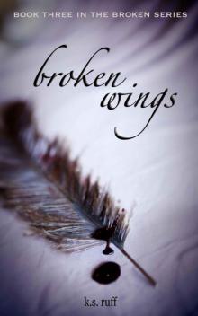 Broken Wings (The Broken Series Book 3)