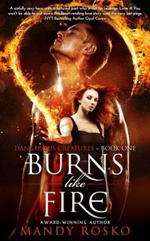 Burns Like Fire (Dangerous Creatures #1)