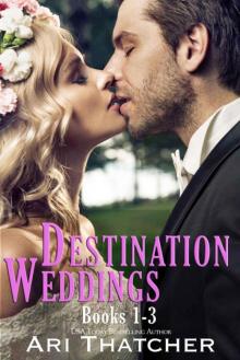 Destination Weddings: Books 1-3