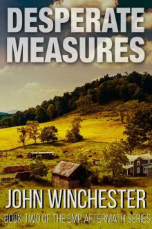 EMP Aftermath Series (Book 2): Desperate Measures