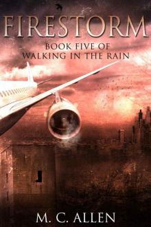 Firestorm: Walking in the Rain Book 5