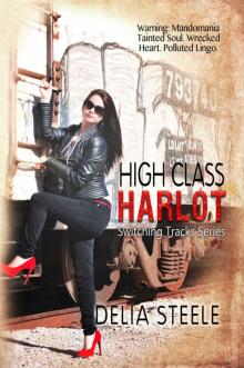 High Class Harlot (Switching Tracks Series Book 2)