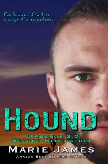 Hound Cerberus 2.0 Book 2