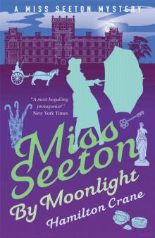 Miss Seeton by Moonlight (A Miss Seeton Mystery Book 12)