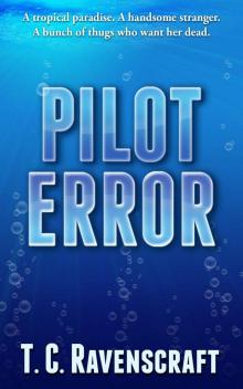 Pilot Error