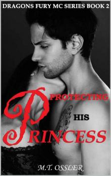 PROTECTING HIS PRINCESS: DRAGONS FURY MC SERIES