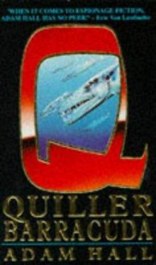 Quiller Barracuda