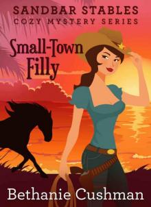 Small Town Filly (Sandbar Stables Cozy Mystery Book 1)