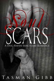 Soul Scars