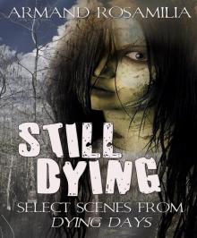 Still Dying: Select Scenes From Dying Days