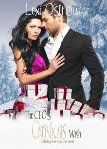 The CEO's Christmas Wish (The Christmas Wish Series Book 2)