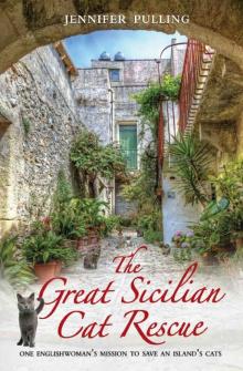 The Great Sicilian Cat Rescue