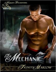 The Mechanic