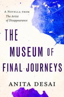 The Museum of Final Journeys: A Novella