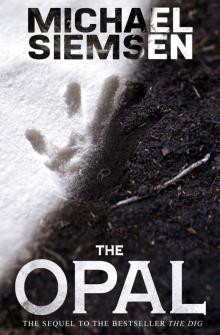 The Opal (Book 2 of the Matt Turner Series)