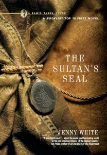 The Sultan's Seal: A Novel (Kamil Pasha Novels)