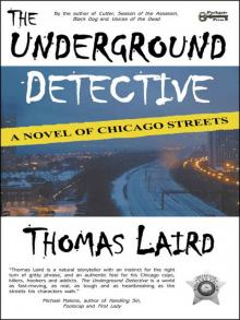 The Underground Detective: A Novel of Chicago Streets