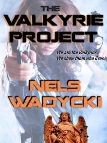 The Valkyrie Project