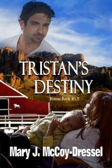 Tristan's Destiny, Bonus Book #1.5