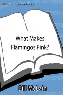 What Makes Flamingos Pink?