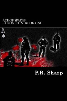 Ace of Spades Chronicles : Book One