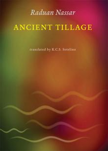 Ancient Tillage