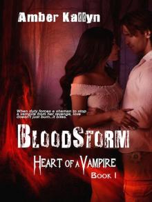 Bloodstorm (Heart of a Vampire)