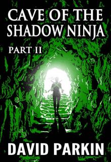 Cave of the Shadow Ninja: Part II