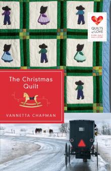 Christmas Quilt : Quilts of Love Series (9781426778032)