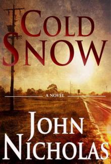 Cold Snow: A Legal Thriller