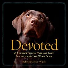 Devoted