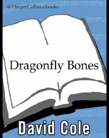 Dragonfly Bones