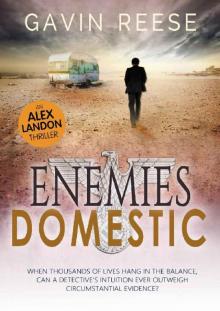 Enemies Domestic (An Alex Landon Thriller Book 1)