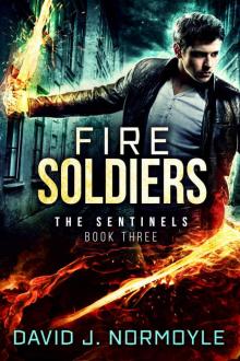 Fire Soldiers (The Sentinels Book 3)