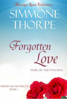 Forgotten Love (Derrien Island Trilogy)