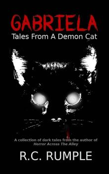 Gabriela_Tales from a Demon Cat