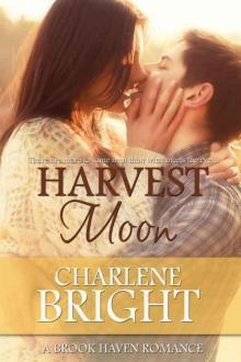 Harvest Moon (Brook Haven Romance Book 1)